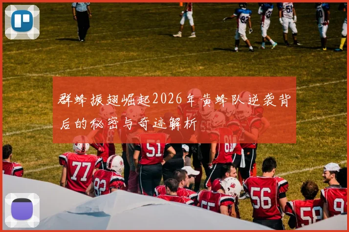 群蜂振翅崛起2026年黄蜂队逆袭背后的秘密与奇迹解析