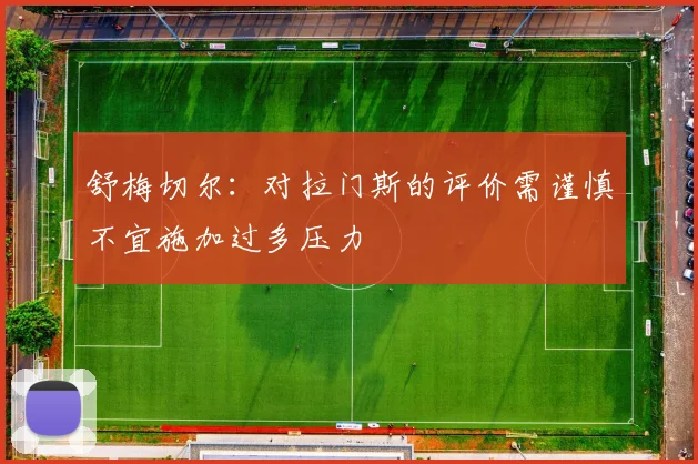 舒梅切尔：对拉门斯的评价需谨慎不宜施加过多压力